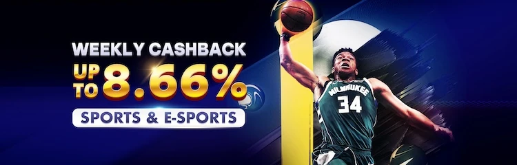 Weekly cashbacks on online sports with Panalobet
